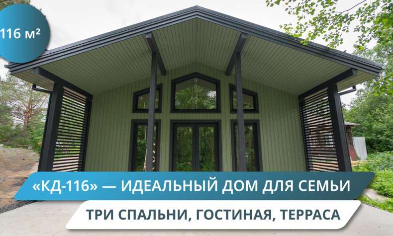 ОДНОЭТАЖНЫЙ КАРКАСНЫЙ ДОМ ЗА 38 ДНЕЙ